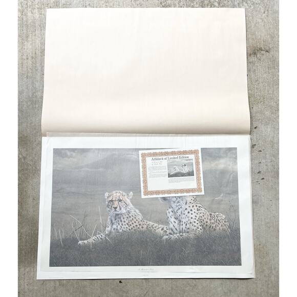 1983 Charles Fracé “A Moment’s Rest, Cheetah” Signed Large Print w/COA 32”X24” - Picture 5 of 10